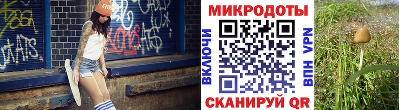 Псилоцибиновые грибы Magic Shrooms  Петровск-Забайкальский 